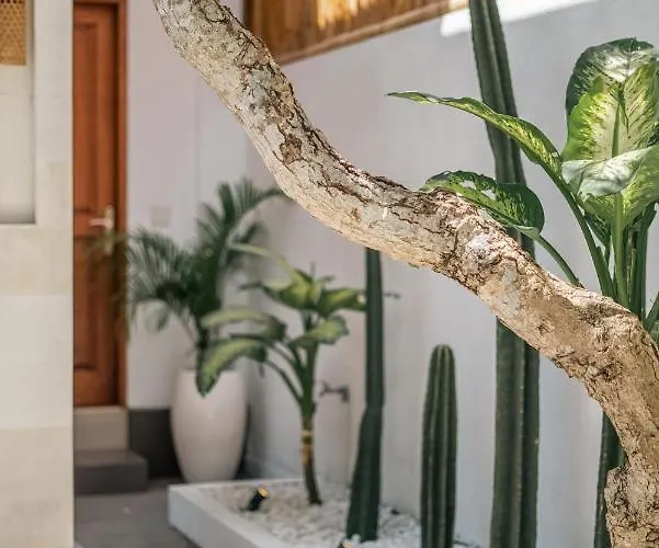 3br Tropical Vibes ! * Canggu
